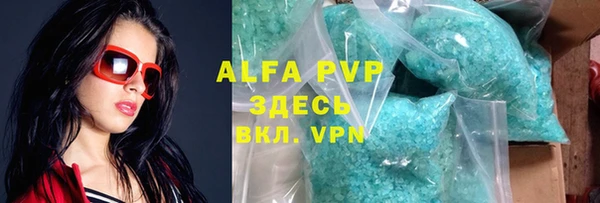 индика Беломорск