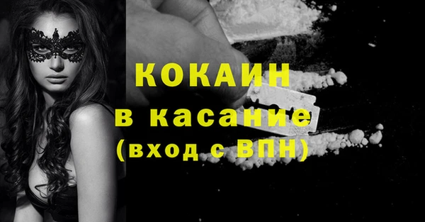 индика Беломорск