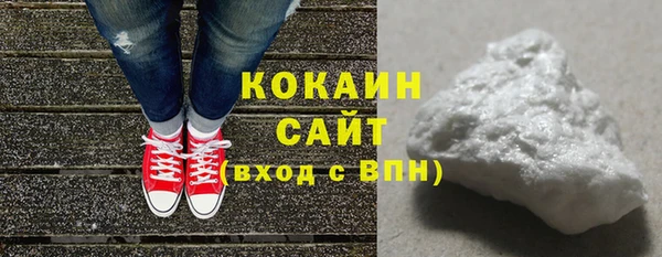 индика Беломорск