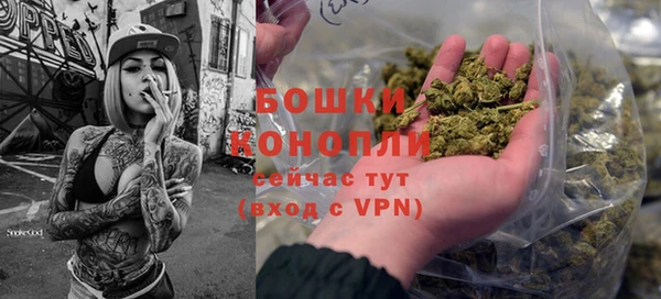 МДПВ Богородск