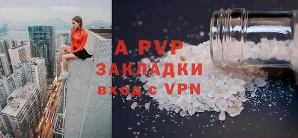 индика Беломорск
