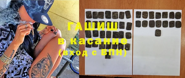 индика Беломорск