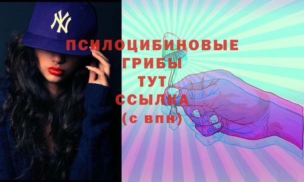 индика Беломорск