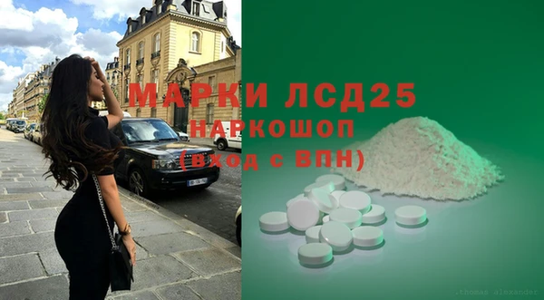 индика Беломорск