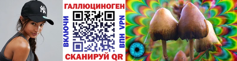 мориарти клад  цена   Бокситогорск  Галлюциногенные грибы ЛСД 