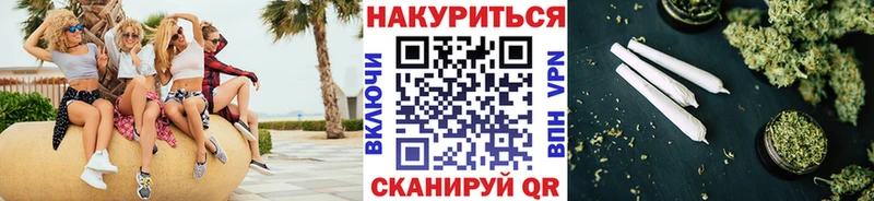 сколько стоит  Бокситогорск  Канабис сатива 